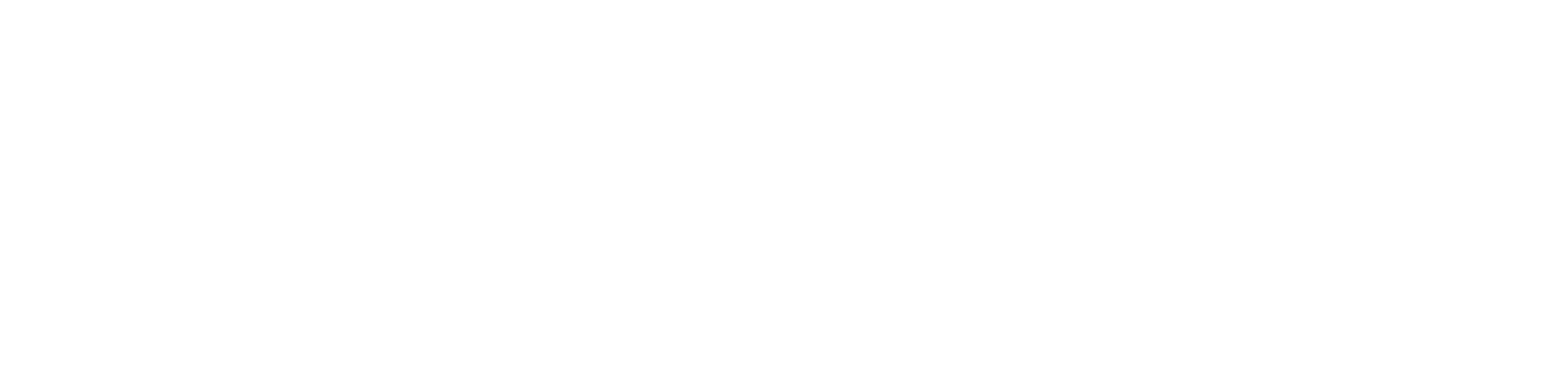 Oireachtas - Irish Parliament